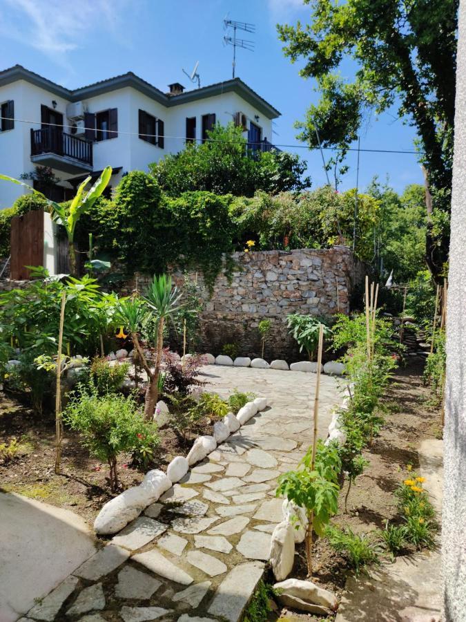 Flower House Chorefton Exterior photo